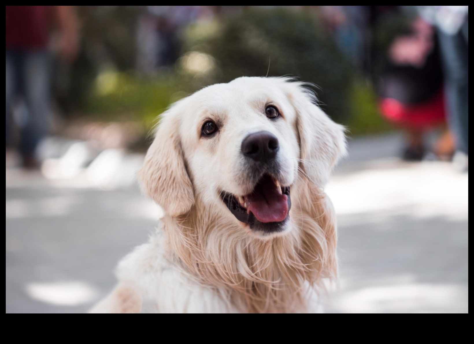 Golden Eats: kulinārijas izpēte par geriatrisko uzturu