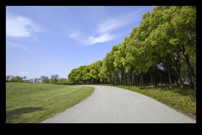 Urban Wilderness: āra vingrinājumi pilsētas sirdī