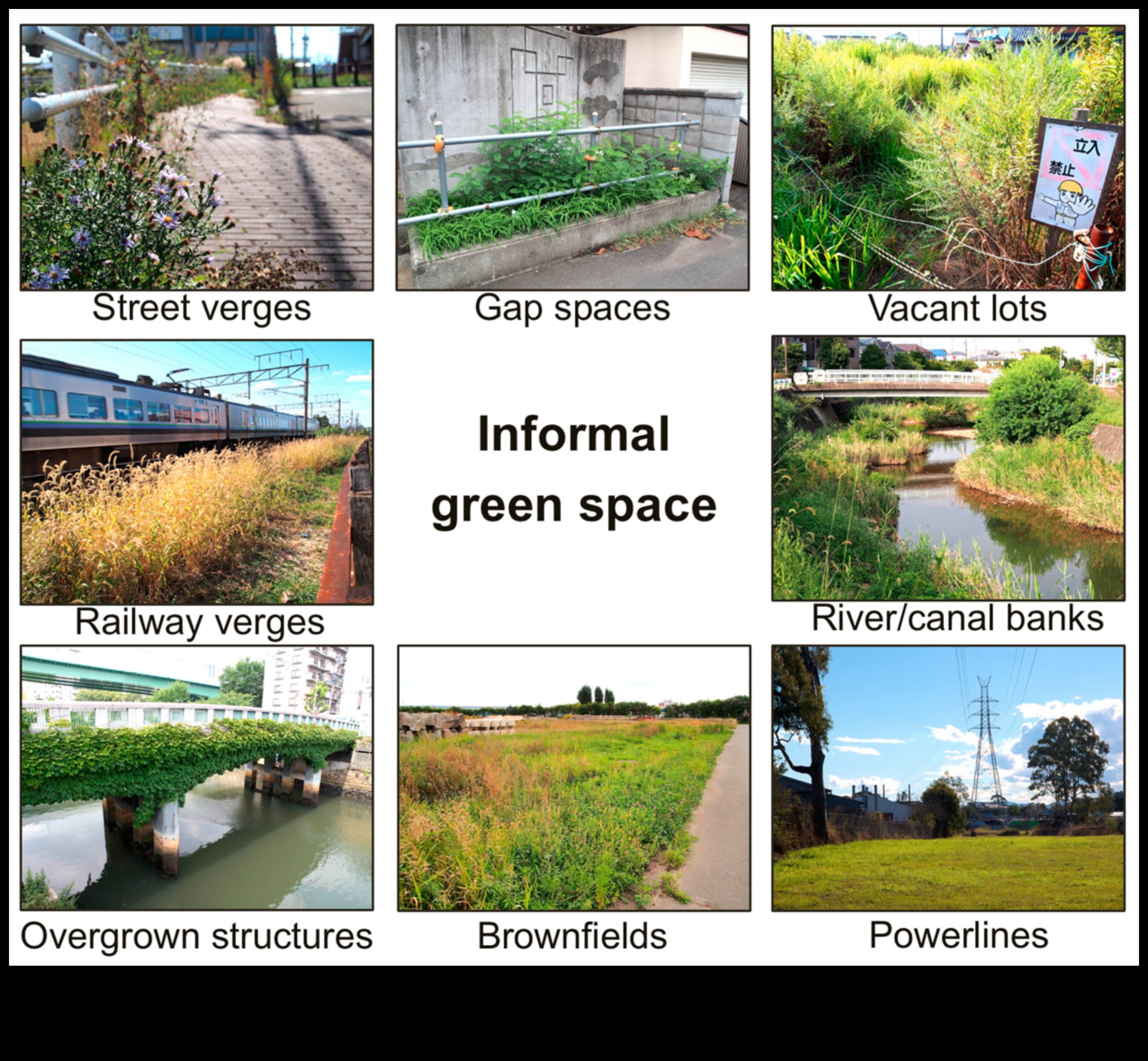 Urban Wilderness: āra vingrinājumi pilsētas sirdī