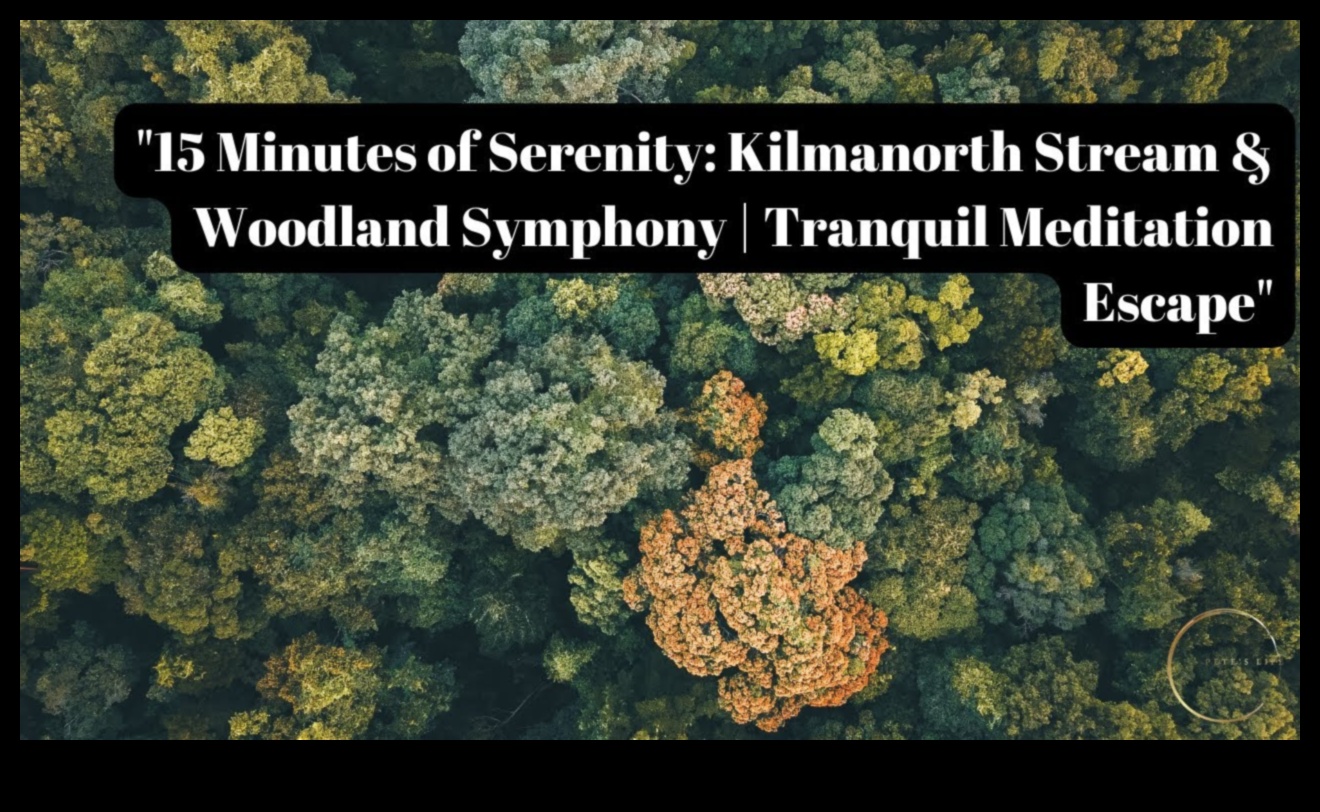 Serenity simfonija: dzīves melodiju saskaņošana ar stresa mazināšanas gudrību