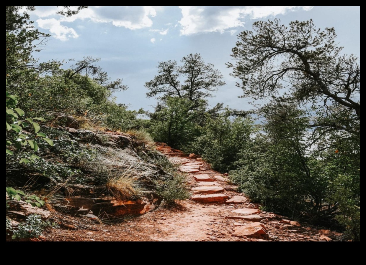Ieejiet dabā: āra treniņi, lai atjaunotu saikni ar Zemi