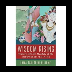 Laikā austa gudrība: ceļojums pa vēsturiskajiem meditācijas pavedieniem