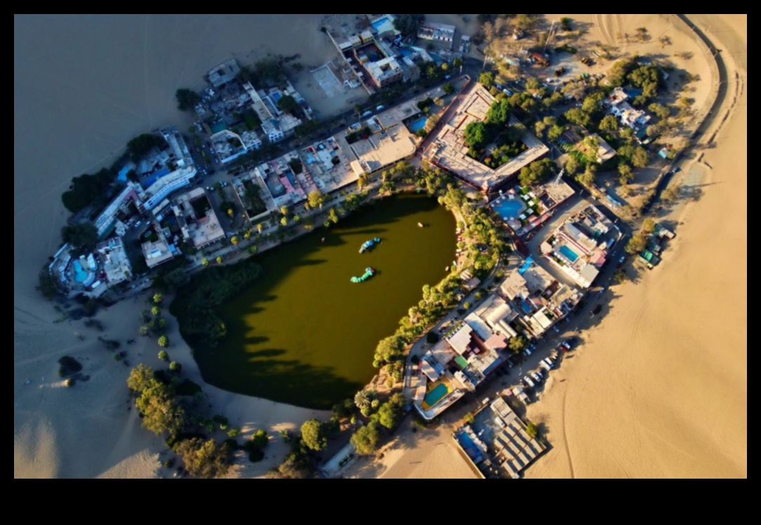 Tuksneša oāze: āra vingrinājumi sausā skaistuma vidū