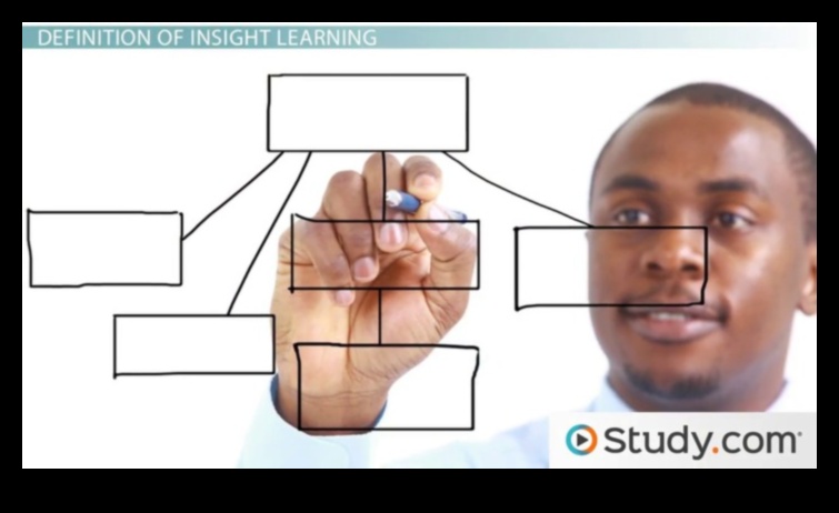 Analīze Gudrie Insight pionieri 3 Analīzes gudrie: ieskati no vadītājiem, kuri bruģēja ceļu Insight
