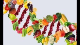 Jūsu ģenētiskā plāksne: ceļvedis personalizētam uzturam ar nutrigenomiku