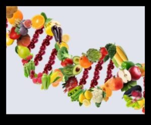 Jūsu ģenētiskā plāksne: ceļvedis personalizētam uzturam ar nutrigenomiku