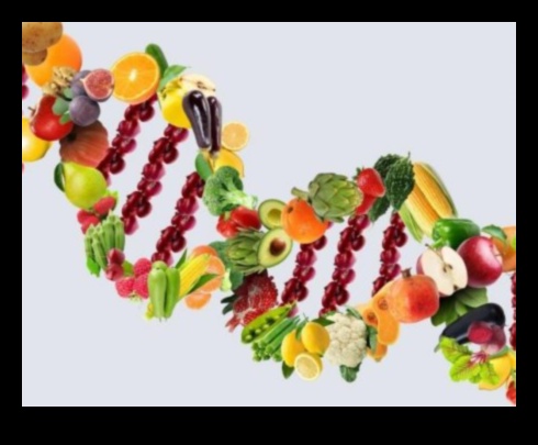 Jūsu ģenētiskā plāksne: ceļvedis personalizētam uzturam ar nutrigenomiku