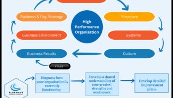Biznesa vilnis: stratēģijas veiksmīgai stratēģiskā modeļa plānošanai