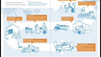 No politikas līdz šķīvim: Sabiedrības veselības uztura iniciatīvas