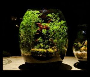 Pilsētas ainavas mierīgums: pilsētas āra treniņi garīgai labklājībai