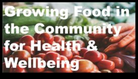 Sabiedrības diēta, kas pastiprina veselību un labklājību 6 Sabiedrības uzturs: sabiedrības veselības uzturs tās pamatā