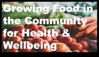 Sabiedrības uzturs: sabiedrības veselības uzturs tās pamatā