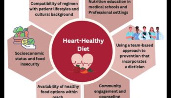 Sirds veselības varoņi: aktīva dzīvesveida priekšrocības sirds un asinsvadu sistēmas jomā