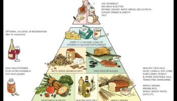 Pamatnoteikumi par uzturvērtību: pilnvērtīgas ēšanas ceļvedis